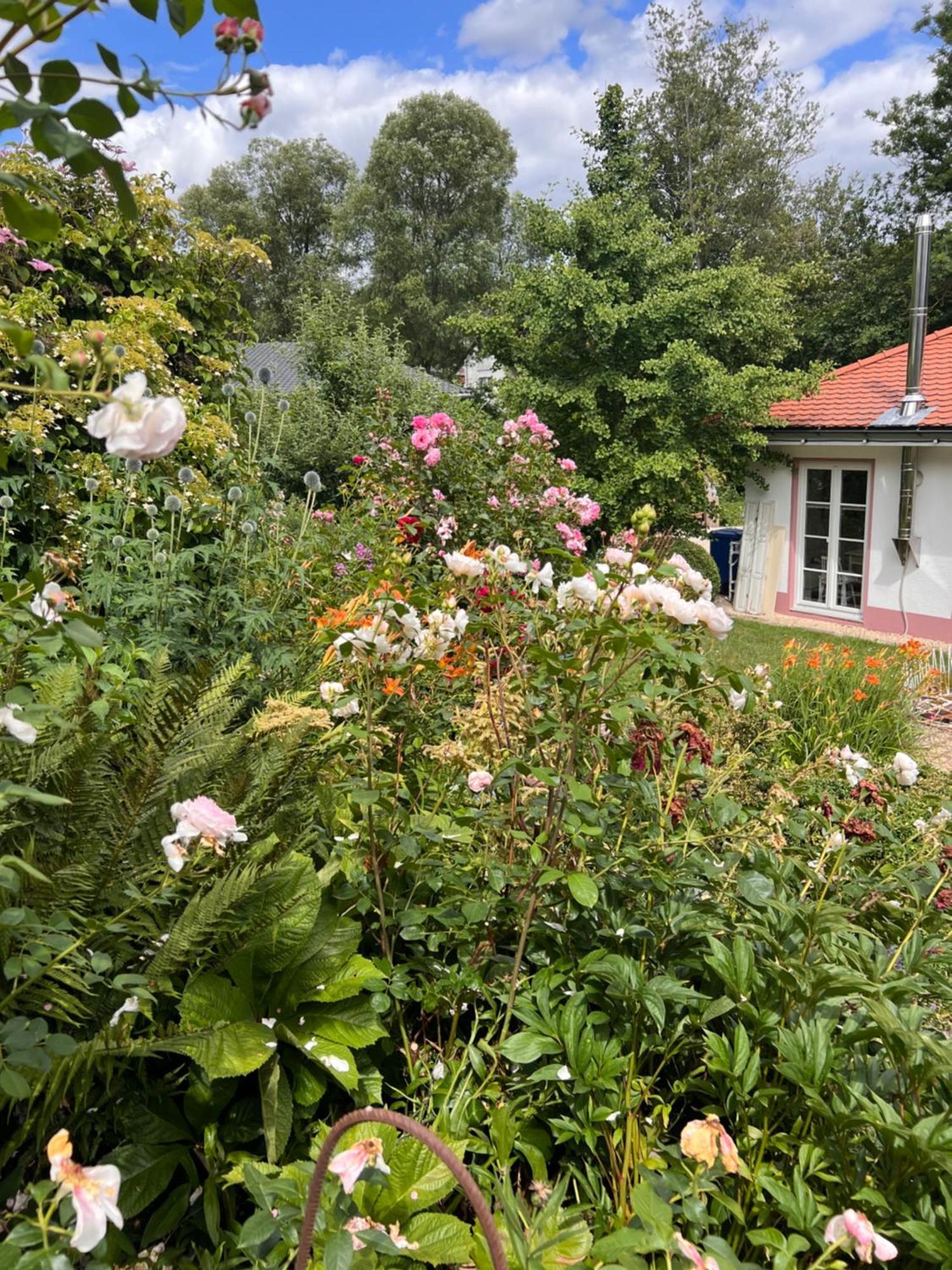 B&B Rosenliebe Niedereschach Exterior foto